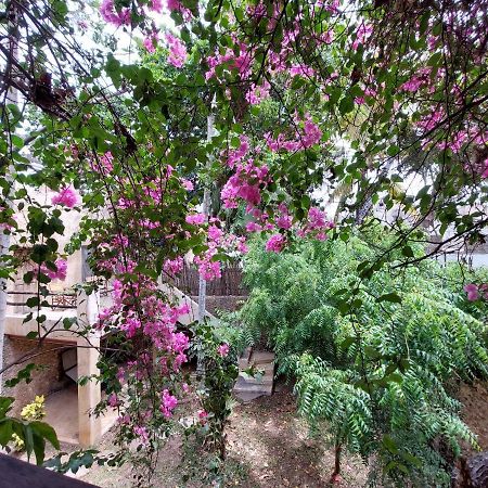 Samaki House Hotel ลามู ภายนอก รูปภาพ