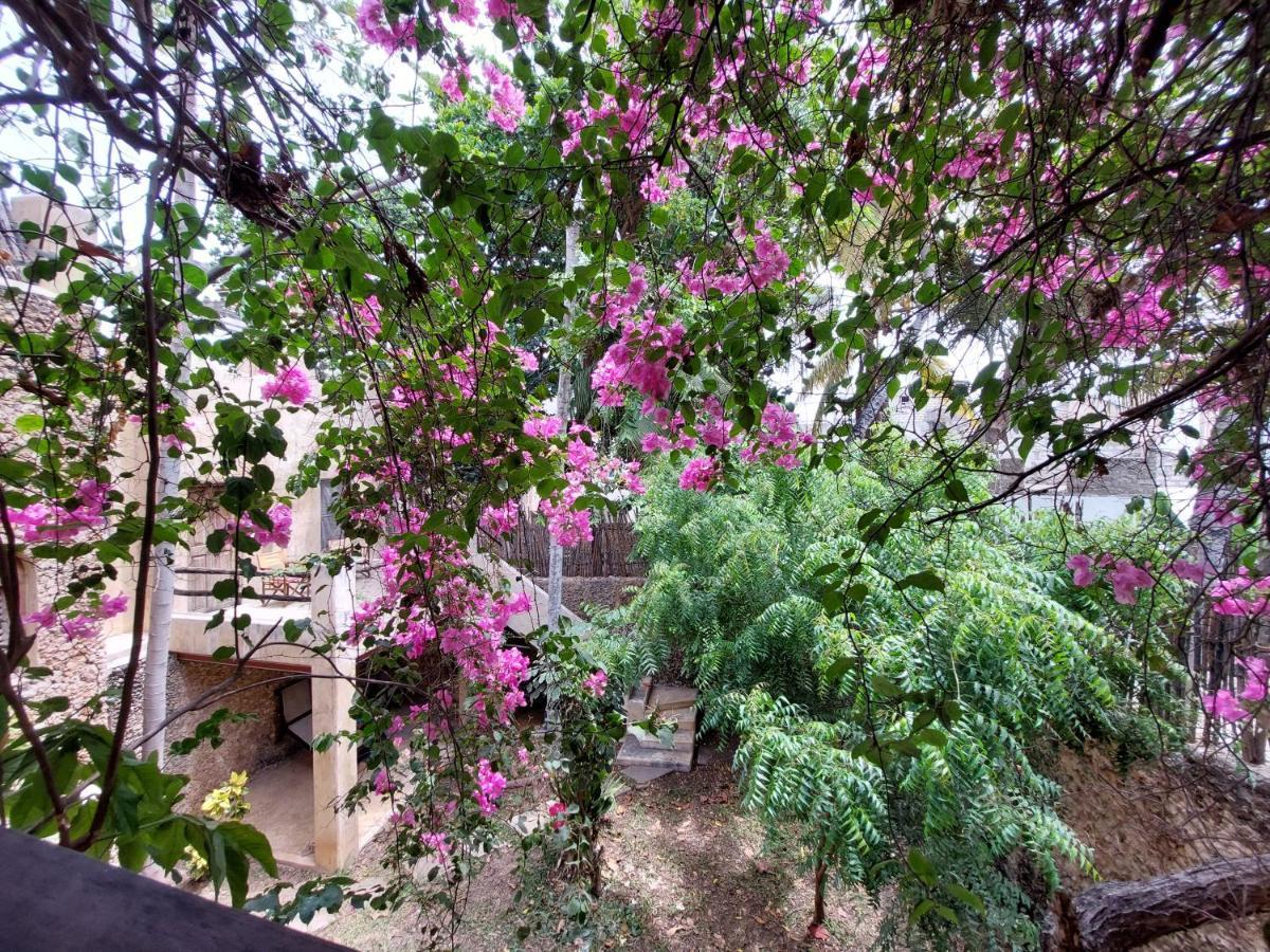 Samaki House Hotel ลามู ภายนอก รูปภาพ